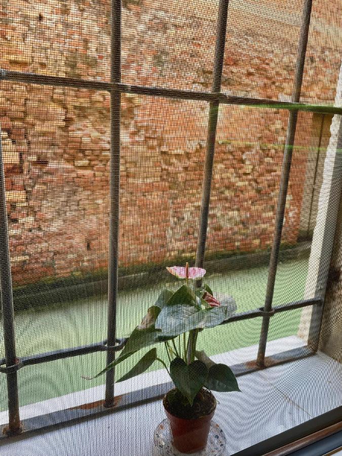 Hayez Rooms Venedig Eksteriør billede